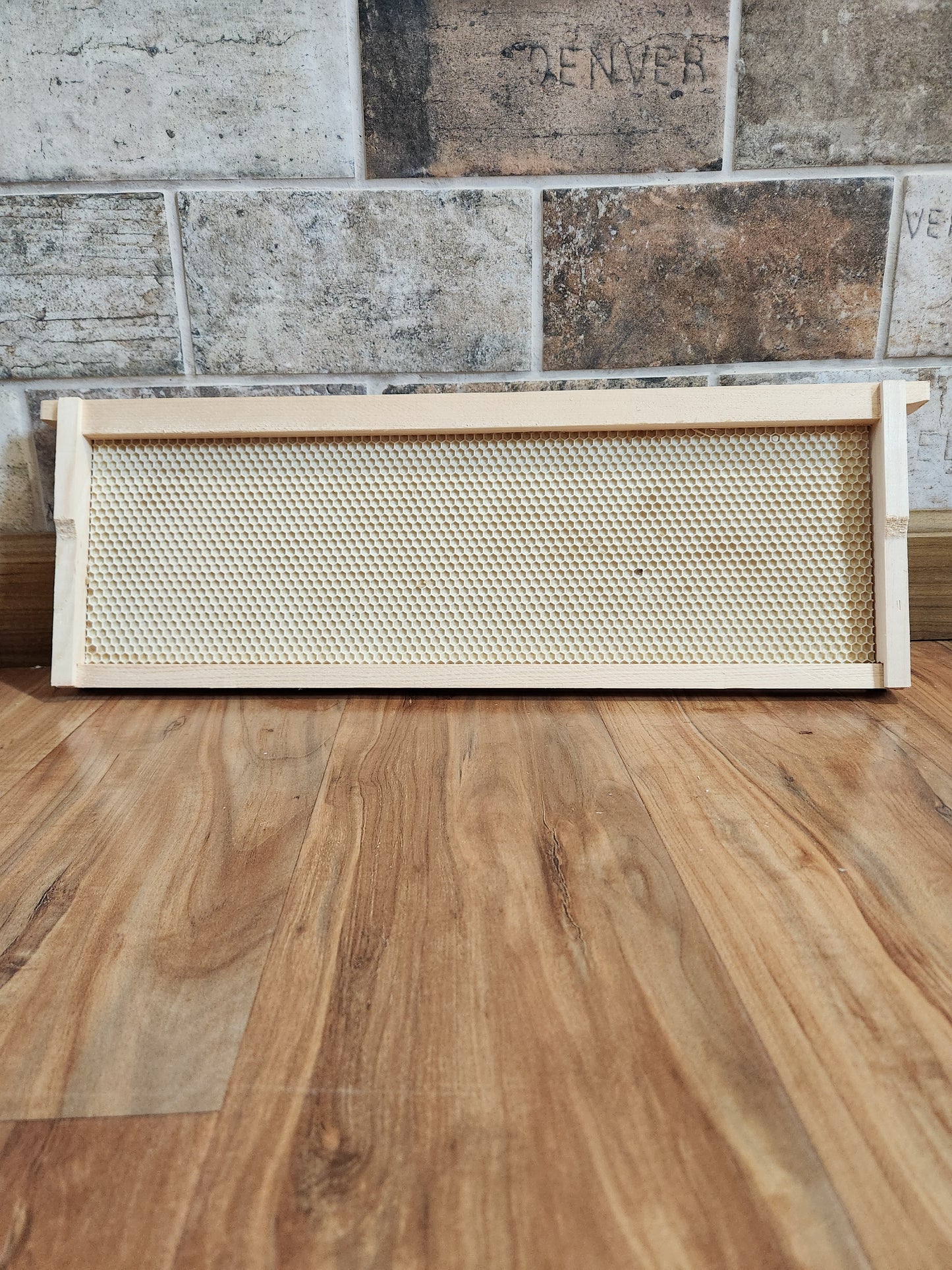 Assembled Medium Super Frame with Waxed Foundation