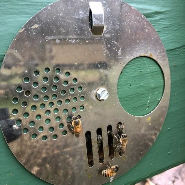 Steel Entrance Disc - 4 Positions Die Biene Honey Farm