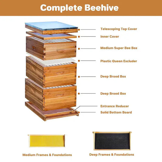 3-Layer, 10-Frame Wooden Langstroth Wax-Coated Beehive Die Biene Honey Farm