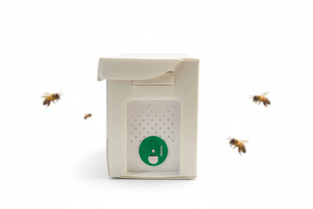 5 Frame Corrugated Plastic Nuc Box Die Biene Honey Farm