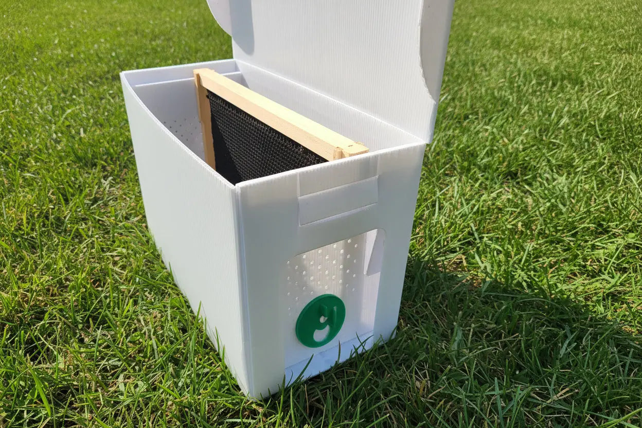 5 Frame Corrugated Plastic Nuc Box Die Biene Honey Farm