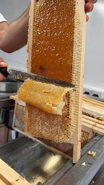 Honey Uncapping Knife Multi-Sweet