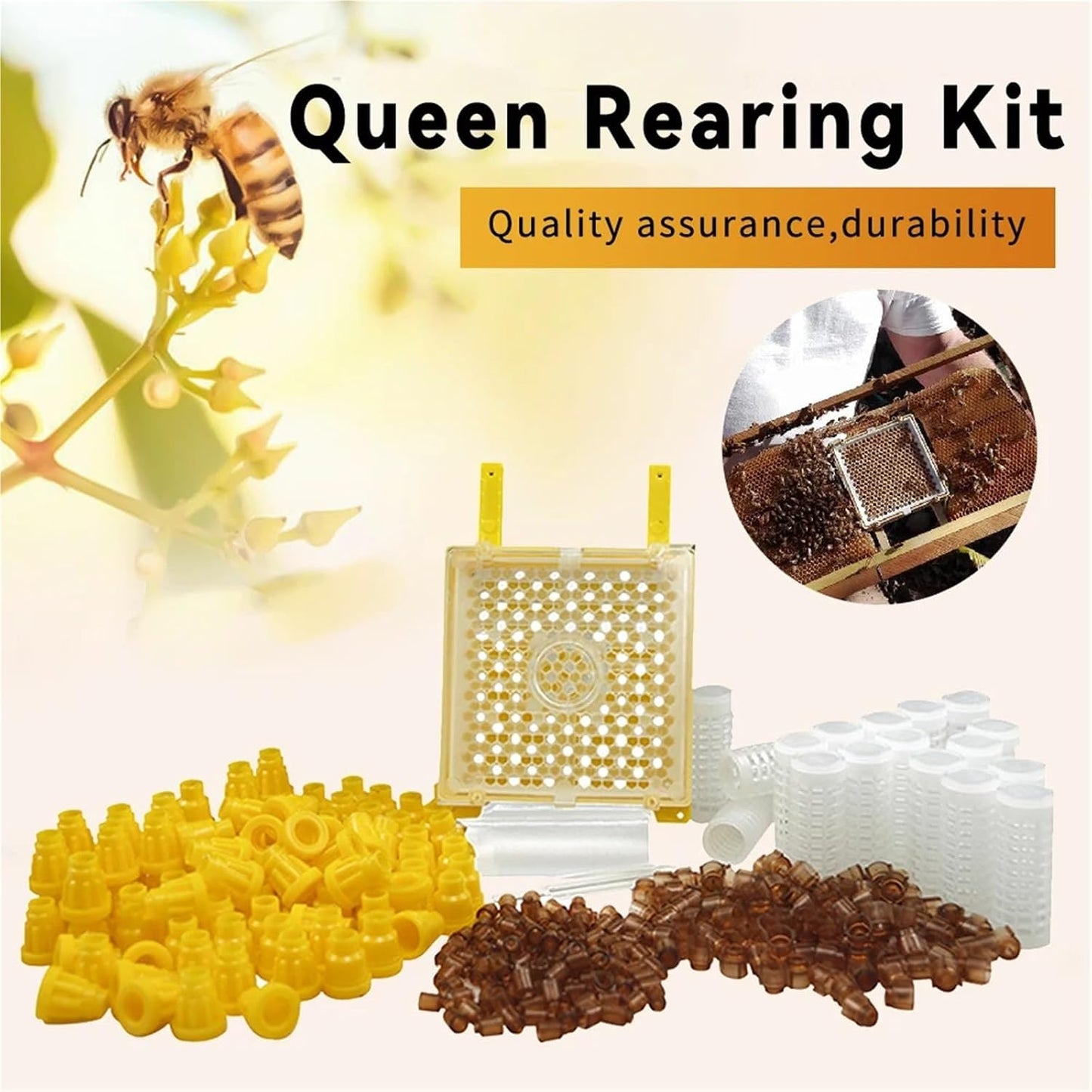Jenter Queen Rearing Kit Multi-Sweet