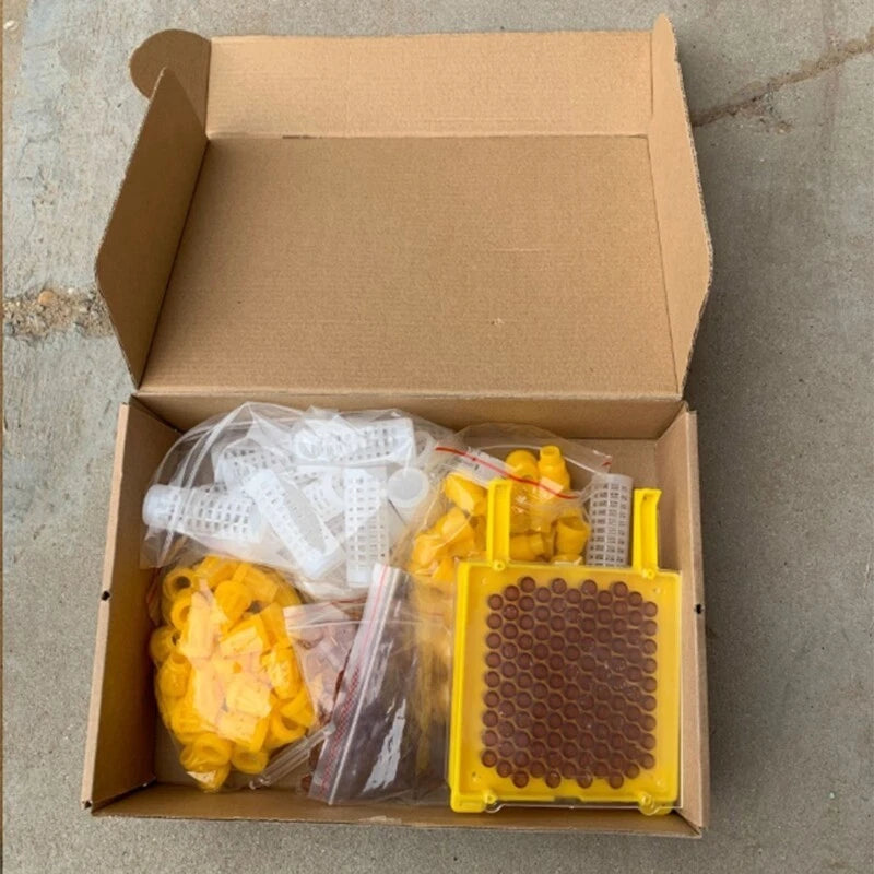 Jenter Queen Rearing Kit Multi-Sweet