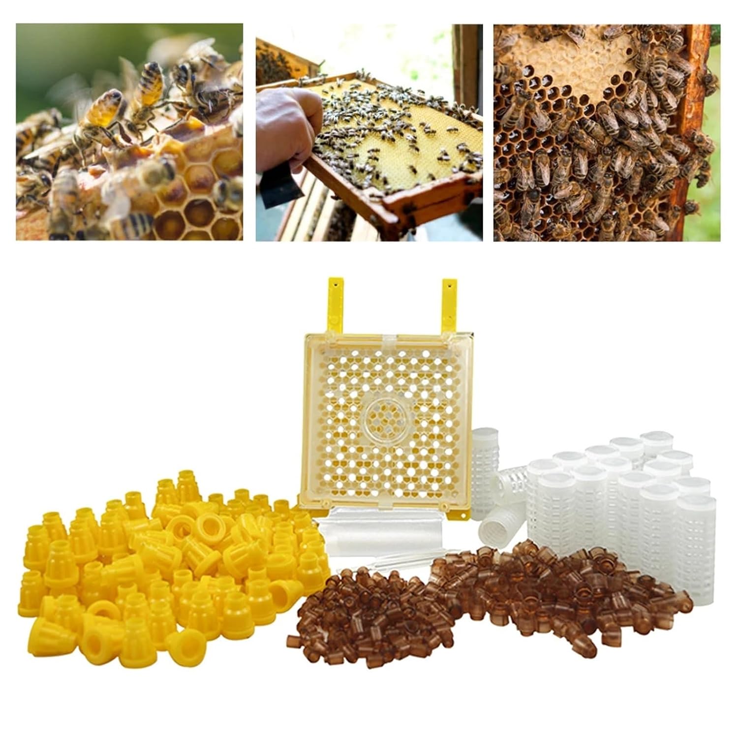 Jenter Queen Rearing Kit Multi-Sweet