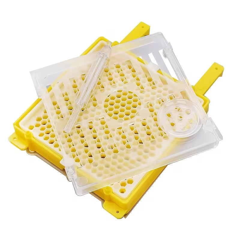 Jenter Queen Rearing Kit Multi-Sweet