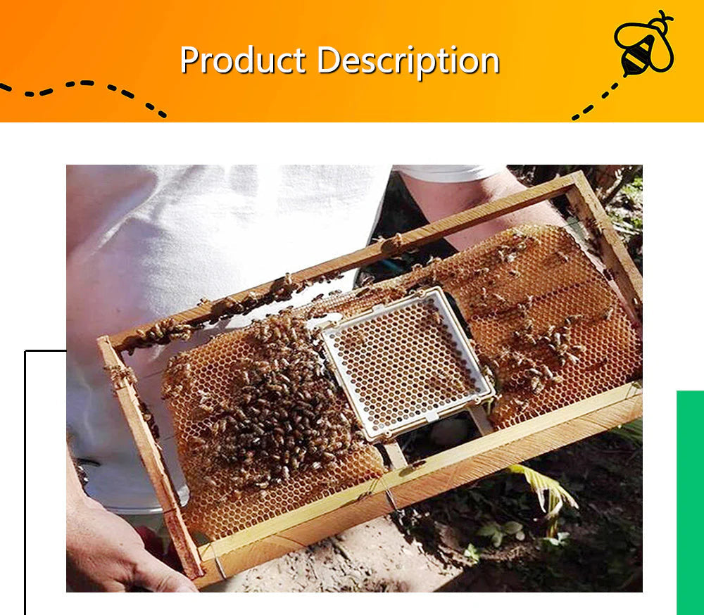 Jenter Queen Rearing Kit Multi-Sweet