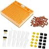 Nicot Queen Rearing System Complete Kit Multi-Sweet
