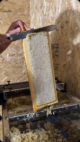 Honey Uncapping Knife
