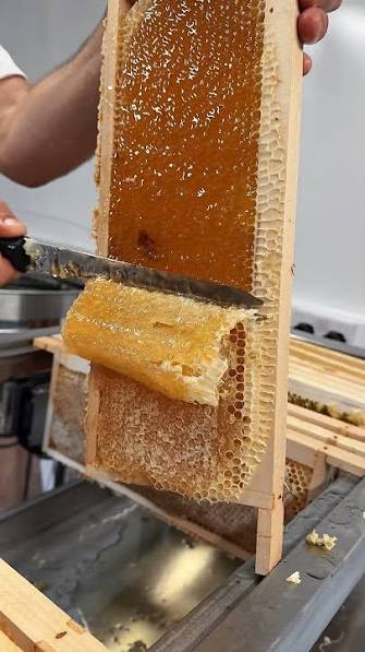 Honey Uncapping Knife