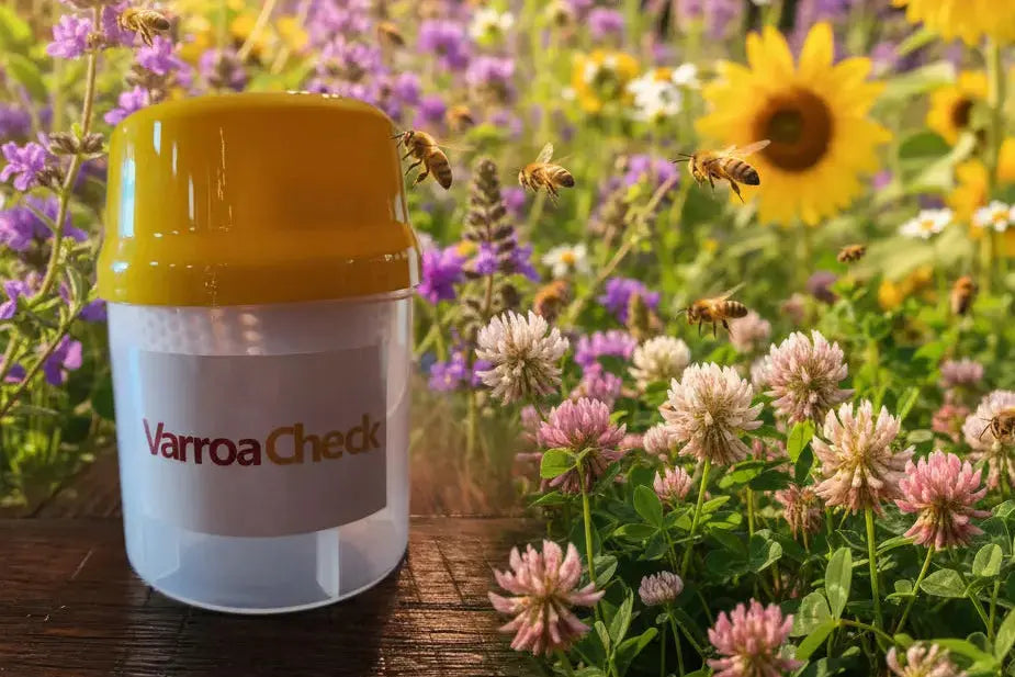 Varroa Check Die Biene Honey Farm